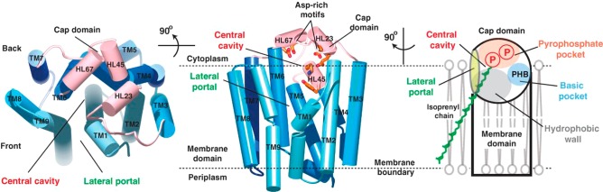 Figure 21