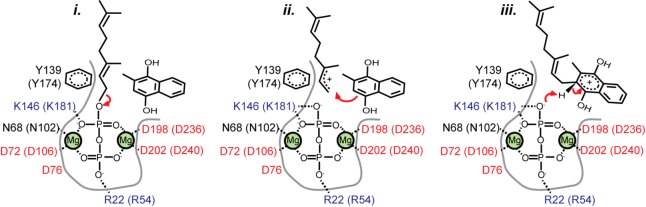 Figure 23