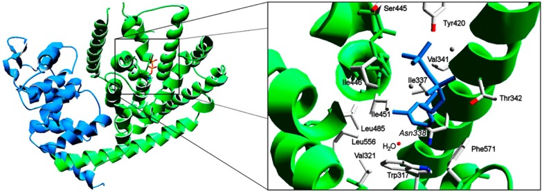 Figure 42