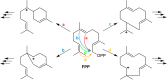 Figure 47
