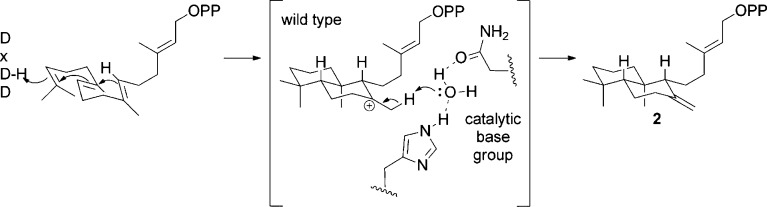 Figure 79