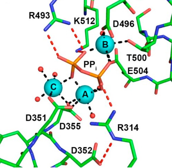 Figure 32