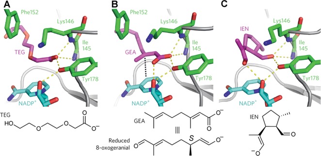 Figure 103