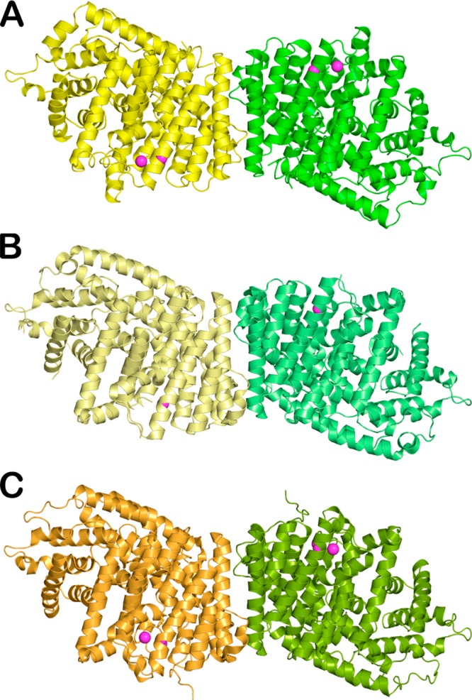 Figure 31