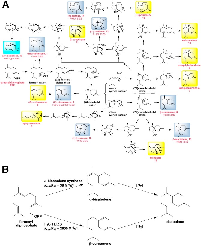 Figure 54