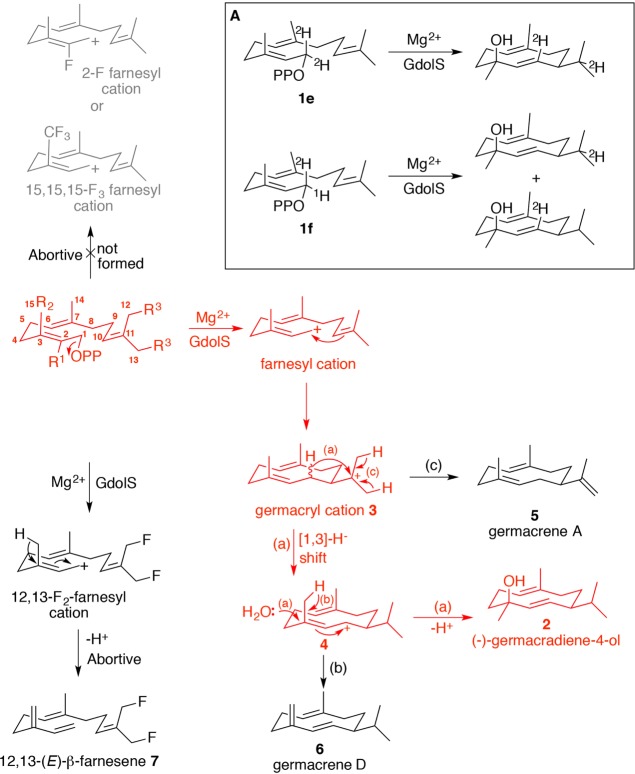 Figure 59