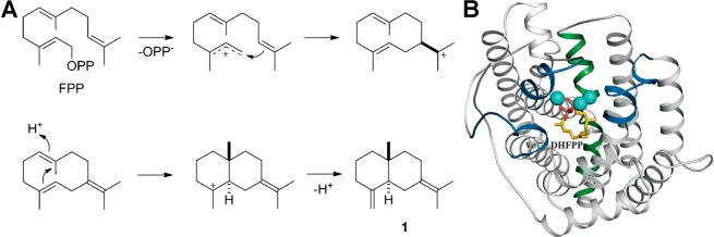 Figure 57