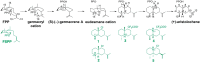 Figure 60