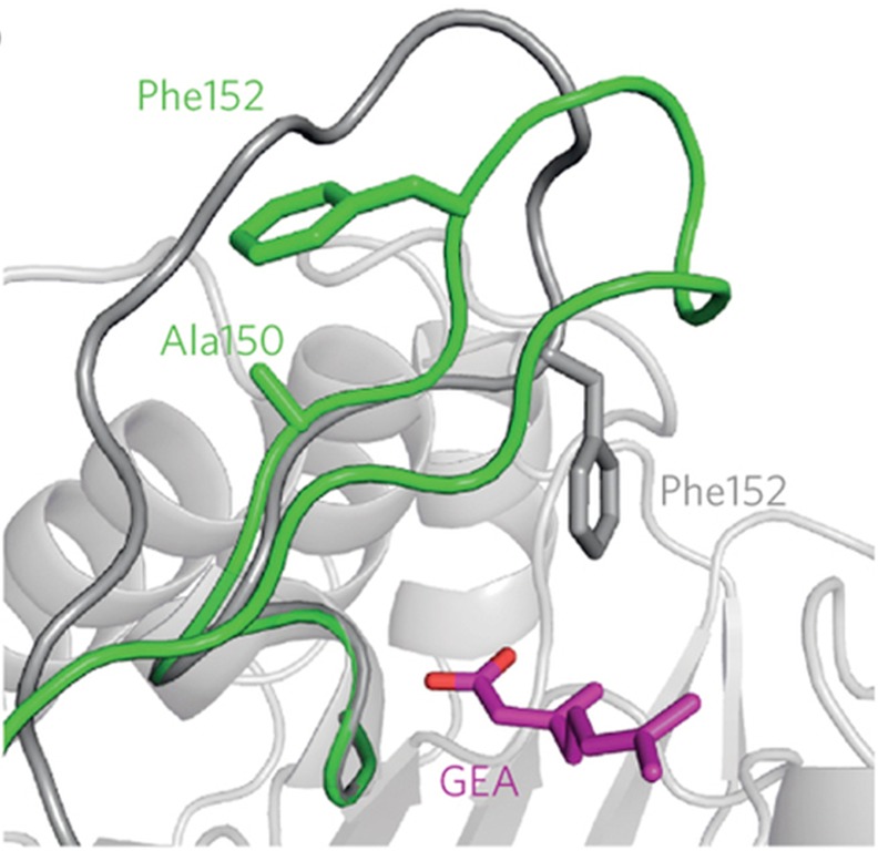 Figure 104