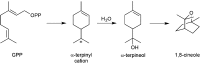 Figure 41