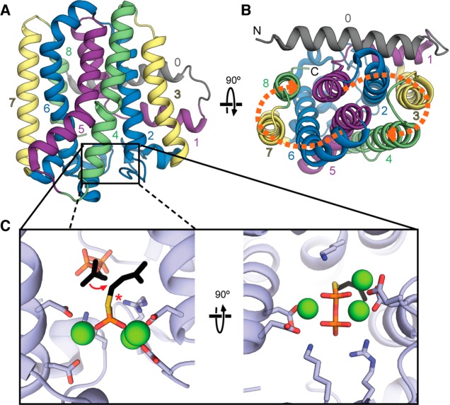 Figure 12