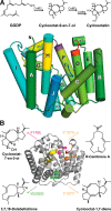 Figure 71