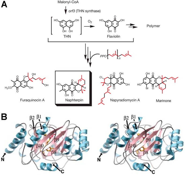 Figure 19