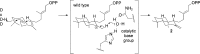 Figure 79
