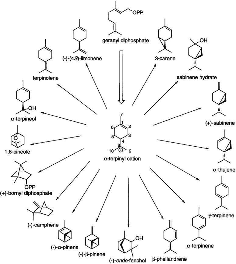 Figure 29