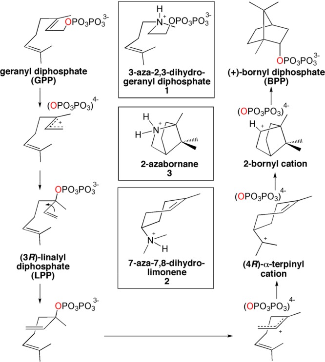 Figure 30