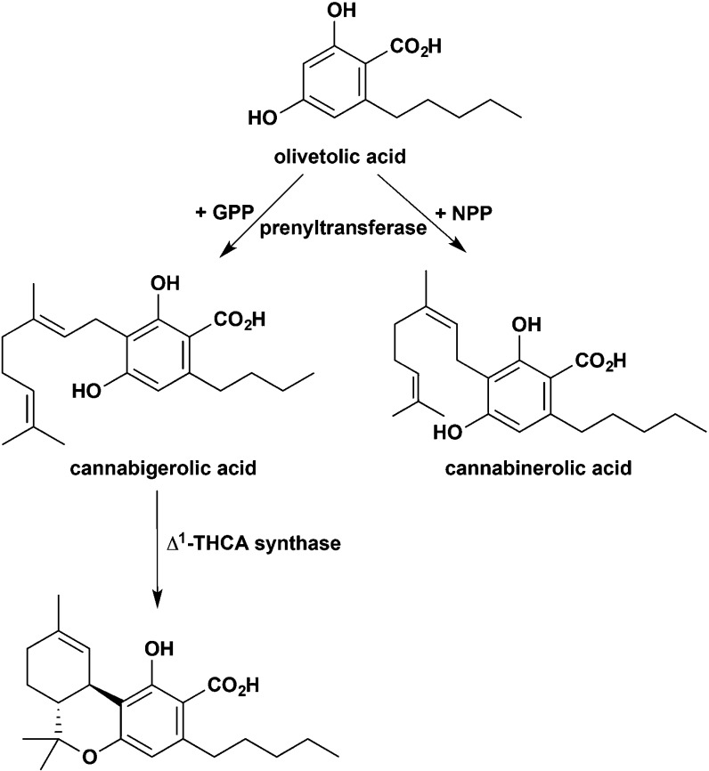 Figure 99