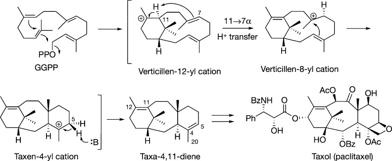 Figure 75