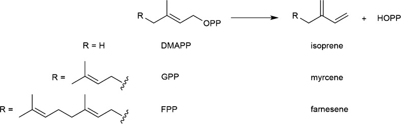 Figure 24