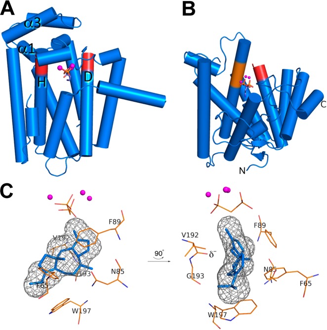 Figure 96