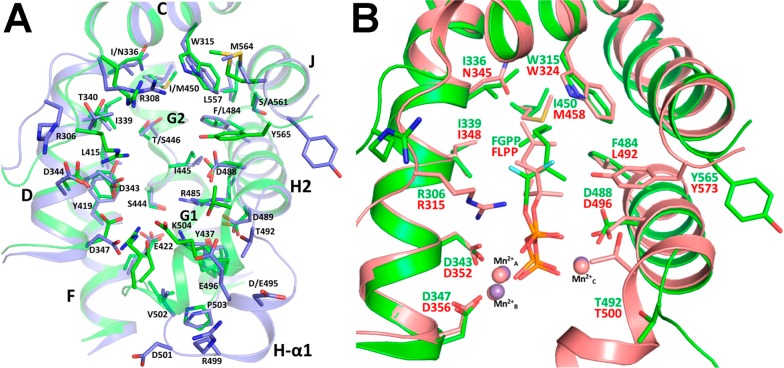 Figure 39