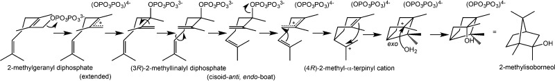 Figure 43