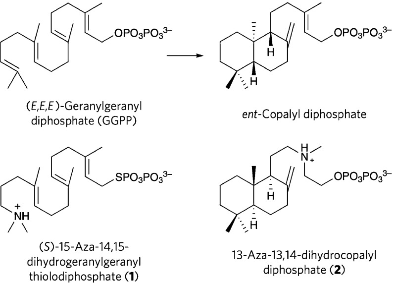 Figure 78