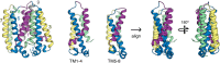 Figure 22