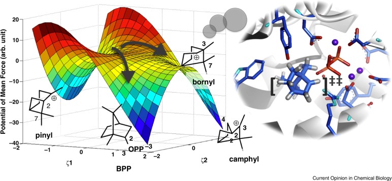 Figure 36