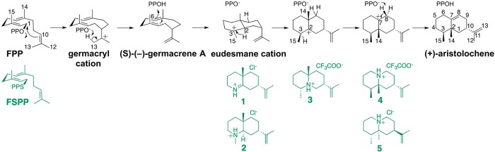 Figure 60