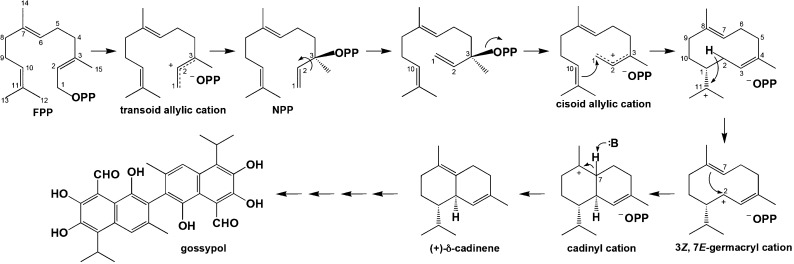 Figure 67