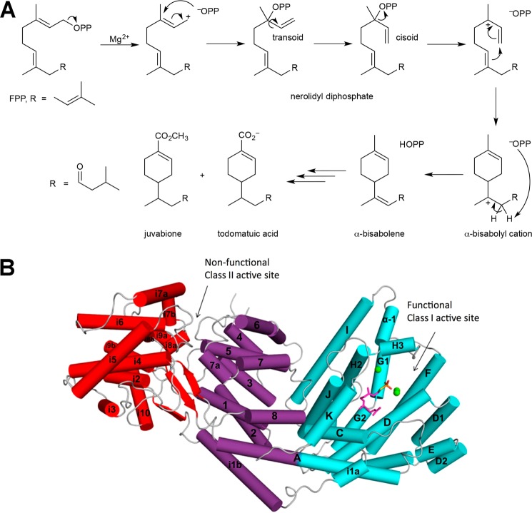 Figure 50