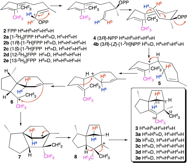 Figure 52