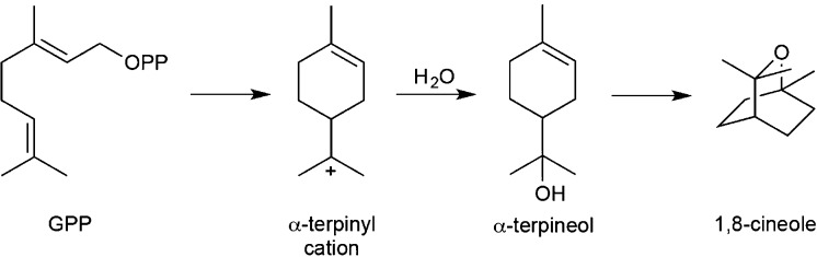 Figure 41