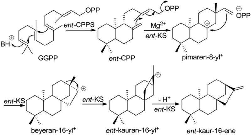 Figure 73