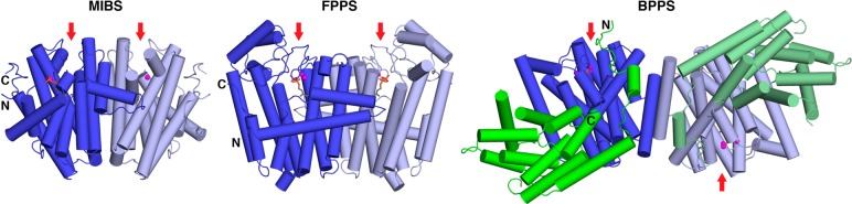 Figure 44