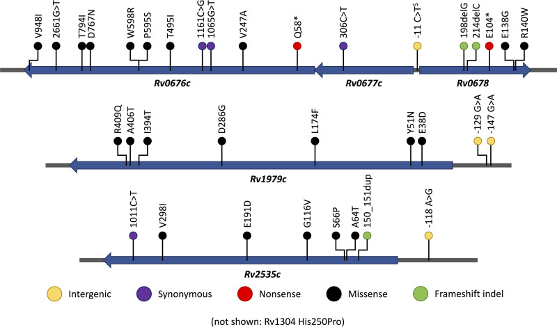 FIG 1