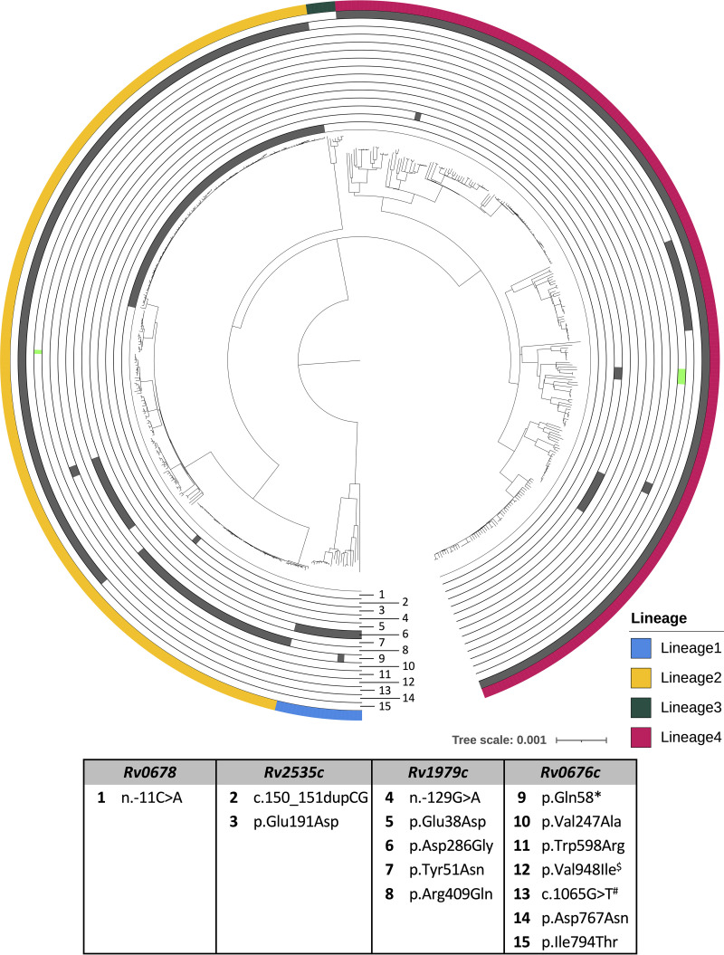 FIG 2