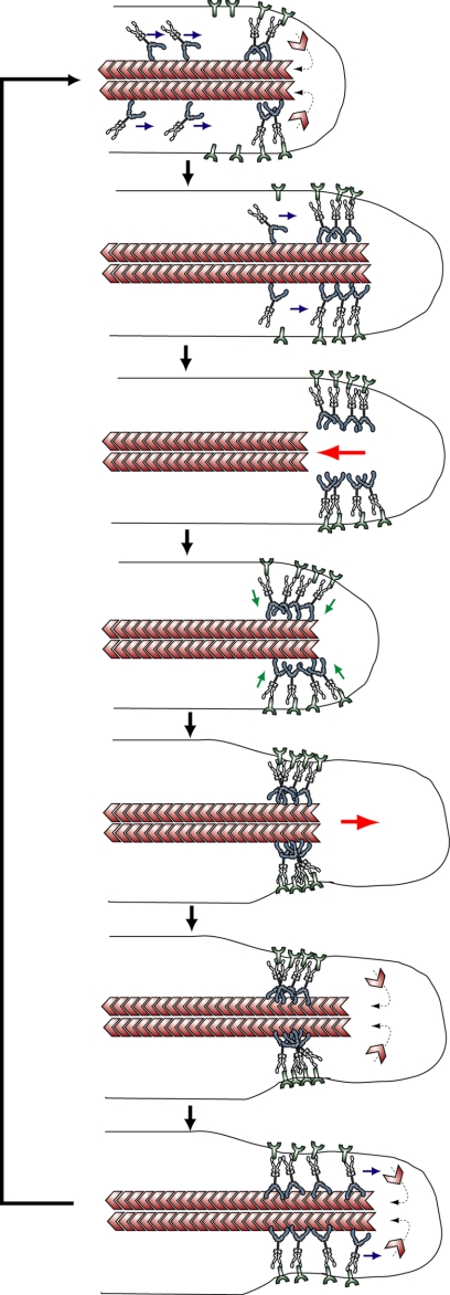 FIGURE 8.