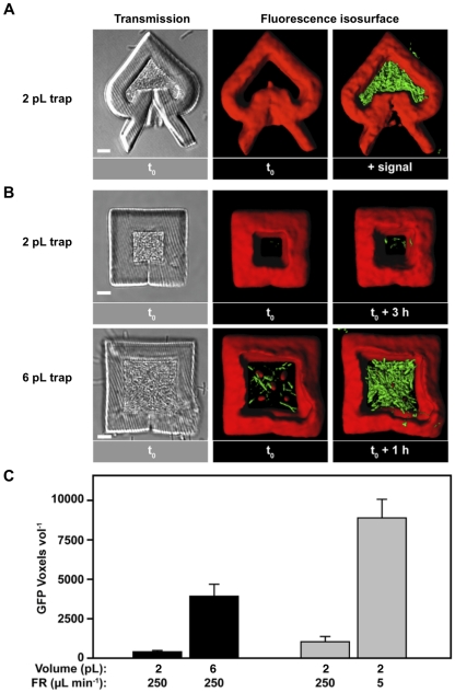 FIG 4 