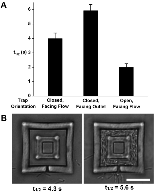 FIG 3 