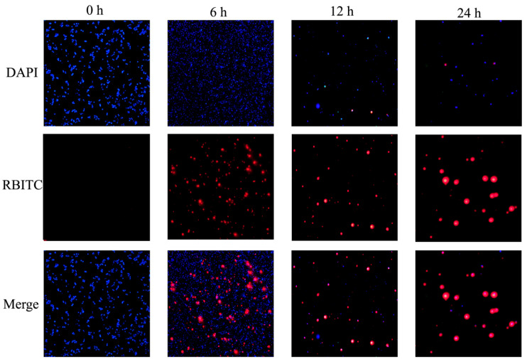 Figure 6