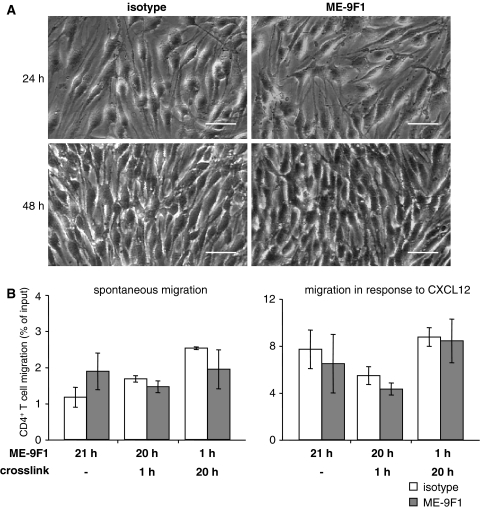 Fig. 6