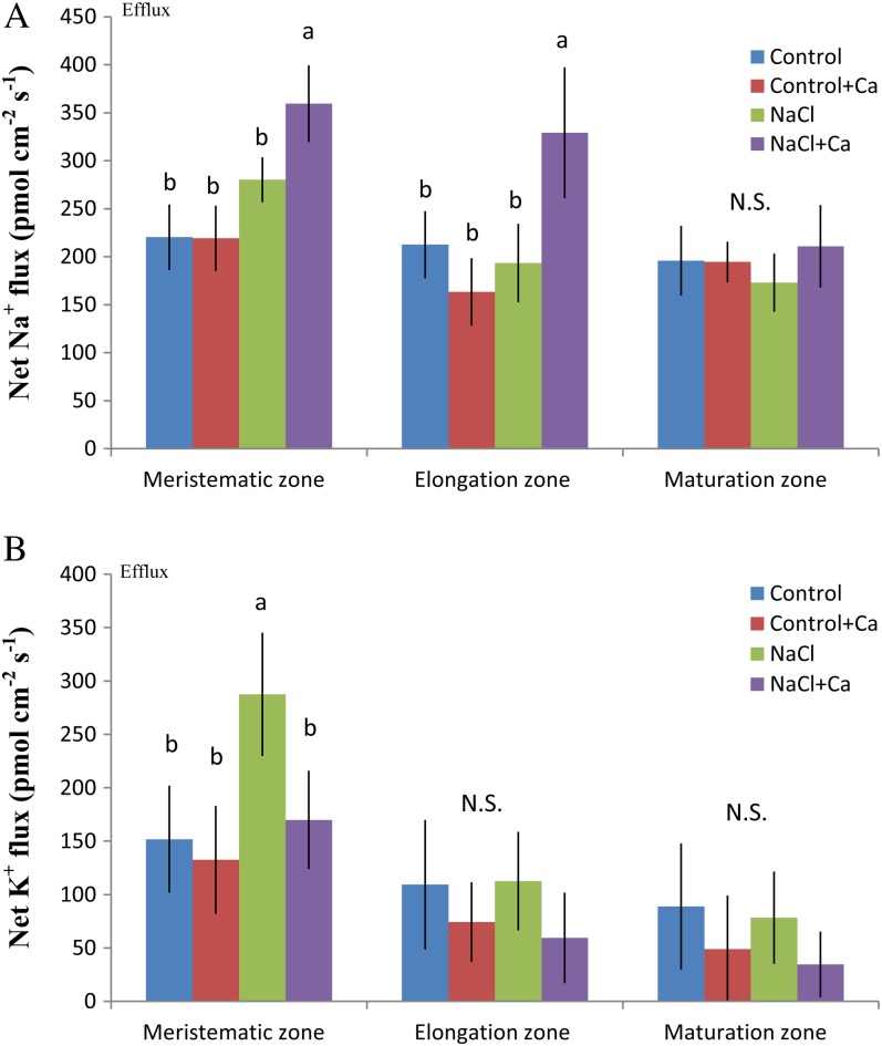 Figure 11.