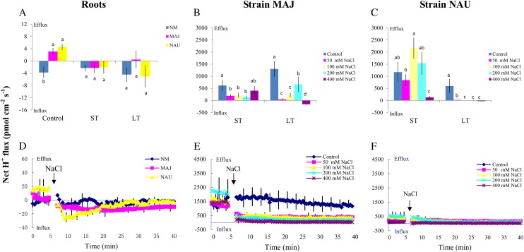 Figure 6.