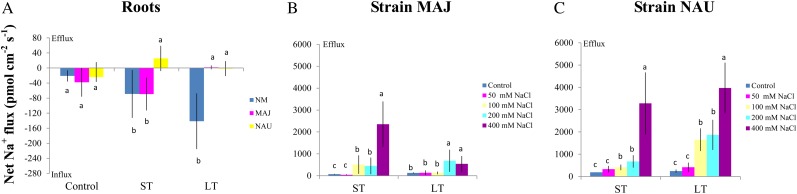 Figure 3.