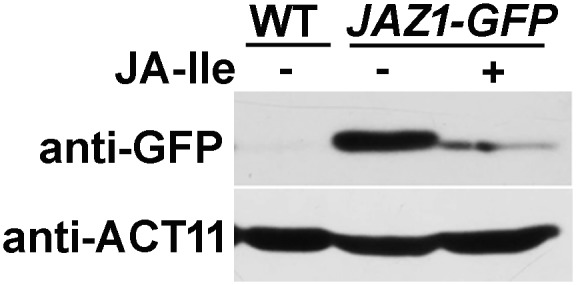 Fig. S9.