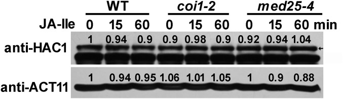 Fig. S8.