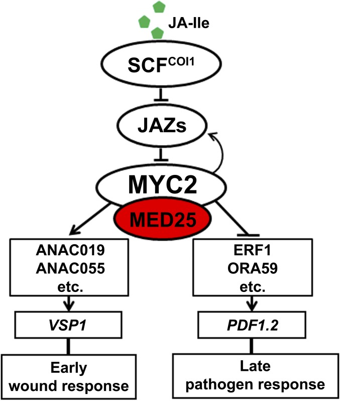 Fig. S1.