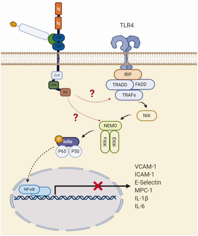 Figure 6.